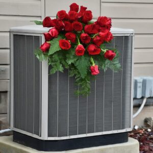 Roses on HVAC